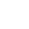fiat-professional