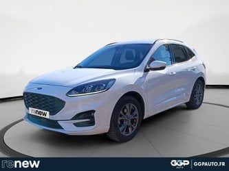 Voitures D'occasion À Seclin | Ford Kuga 2.0 Ecoblue 190Ch St-Line Bva I-Awd