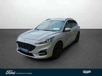 D'occasion À Faches Thumesnil | Ford Kuga 2.5 Duratec 190Ch Fhev E85 Graphite Tech Edition Bva