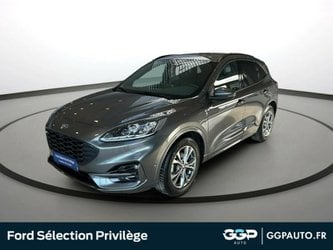 D'occasion À St Omer | Ford Kuga 2.5 Duratec 190Ch Fhev E85 St-Line X Bva