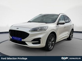 Voitures D'occasion À Armentières | Ford Kuga 2.5 Duratec 190Ch Fhev St-Line X Bva