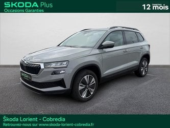 Voitures D'occasion À Lanester | Škoda Karoq 2.0 Tdi 116Ch Scr Business Dsg7