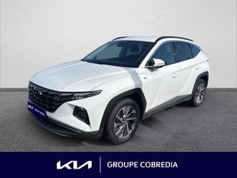 Voitures D'occasion À Yffiniac | Hyundai Tucson 1.6 Crdi 136Ch Hybrid 48V Creative Dct7