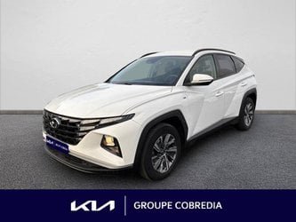 Voitures D'occasion À Yffiniac | Hyundai Tucson 1.6 Crdi 136Ch Hybrid 48V Creative Dct7