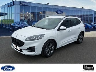 Voitures Occasion Ford Kuga Iii 1.5 Ecoblue 120 Bvm6 St-Line À Niort