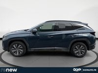 Voitures D'occasion À Avesnes-Sur-Helpe | Hyundai Tucson 1.6 T-Gdi 230Ch Hybrid Business Bva6