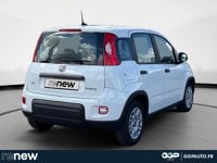 Voitures D'occasion À Bruay-La-Buissiere | Fiat Panda 1.0 70Ch Bsg S&S Hybrid