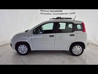 Voitures D'occasion À Lunel | Fiat Panda 1.2 8V 69Ch S&S Euro6D