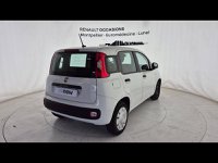 Voitures D'occasion À Lunel | Fiat Panda 1.2 8V 69Ch S&S Euro6D