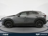 Voitures D'occasion À Petite Forêt | Mazda Cx-30 2.0 E-Skyactiv-X M-Hybrid 186Ch Homura 4X4 2024