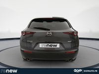 Voitures D'occasion À Petite Forêt | Mazda Cx-30 2.0 E-Skyactiv-X M-Hybrid 186Ch Homura 4X4 2024