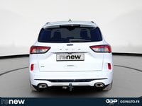 Voitures D'occasion À Seclin | Ford Kuga 2.0 Ecoblue 190Ch St-Line Bva I-Awd