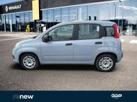Voitures D'occasion À Saint-Pol-Sur-Ternoise | Fiat Panda 1.0 70Ch Bsg S&S (Juin2021)