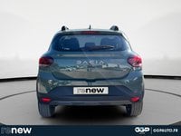 Voitures D'occasion À Carpentras | Dacia Sandero 1.0 Eco-G 100Ch Stepway Extreme +