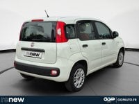 Voitures D'occasion À Montpellier | Fiat Panda 1.2 8V 69Ch Pop