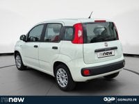 Voitures D'occasion À Montpellier | Fiat Panda 1.2 8V 69Ch Pop