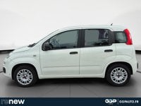 Voitures D'occasion À Montpellier | Fiat Panda 1.2 8V 69Ch Pop