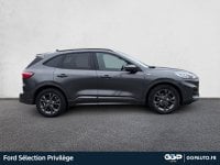 Voitures D'occasion À Villeneuve D'ascq | Ford Kuga 2.5 Duratec 190Ch Fhev E85 St-Line Business Bva