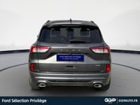 Voitures D'occasion À Armentières | Ford Kuga 2.5 Duratec 190Ch Fhev E85 St-Line Business Bva
