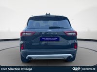 Voitures D'occasion À Armentières | Ford Kuga 2.5 Duratec 180Ch Hybrid Flexifuel Titanium Busin...