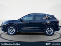 Voitures D'occasion À Armentières | Ford Kuga 2.5 Duratec 180Ch Hybrid Flexifuel Titanium Busin...