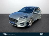 Voitures D'occasion À Calais | Ford Kuga 2.5 Duratec 190Ch Fhev E85 St-Line Bva