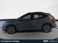 Voitures D'occasion À Lys Lez Lannoy | Ford Kuga 2.5 Duratec 190Ch Fhev E85 St-Line Bva