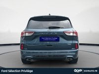 Voitures D'occasion À Lys Lez Lannoy | Ford Kuga 2.5 Duratec 190Ch Fhev E85 St-Line X Bva