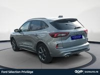 Voitures D'occasion À Lys Lez Lannoy | Ford Kuga 2.5 Duratec 180Ch Hybrid Flexifuel St-Line Powe...