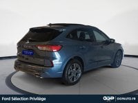 Voitures D'occasion À Lys Lez Lannoy | Ford Kuga 2.5 Duratec 190Ch Fhev E85 St-Line Bva