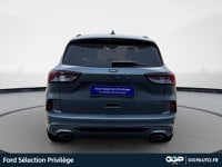 Voitures D'occasion À St Omer | Ford Kuga 2.5 Duratec 190Ch Fhev E85 St-Line X Bva