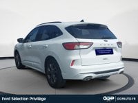 Voitures D'occasion À Dunkerque | Ford Kuga 1.5 Ecoblue 120Ch St-Line