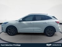 Voitures D'occasion À Dunkerque | Ford Kuga 1.5 Ecoblue 120Ch St-Line