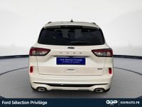 Voitures D'occasion À Armentières | Ford Kuga 2.5 Duratec 190Ch Fhev St-Line X Bva