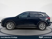 Voitures D'occasion À Armentières | Ford Kuga 2.5 Duratec 180Ch Hybrid Flexifuel Titanium Busin...