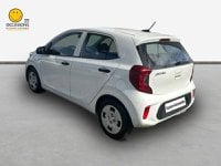 Voitures D'occasion À Matoury | Kia Picanto 1.0 Dpi 67Ch Emotion