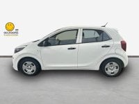 Voitures D'occasion À Matoury | Kia Picanto My20 Emotion 1 0 Mpi 67Ch E6D
