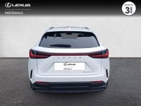 Voitures D'occasion À Lanester | Lexus Nx 450H+ Executive 4Wd My24