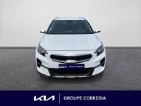 Voitures D'occasion À Yffiniac | Kia Xceed 1.6 Gdi 105Ch + Plug-In 60.5Ch Black & White Edition ...