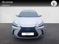 Voitures D'occasion À Lanester | Lexus Nx 450H+ Executive 4Wd My24