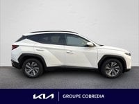 Voitures D'occasion À Yffiniac | Hyundai Tucson 1.6 Crdi 136Ch Hybrid 48V Creative Dct7