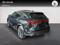 Voitures D'occasion À Lanester | Lexus Nx 350H 200Ch Executive 4Wd My26