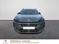 Voitures D'occasion À Brest | Cupra Terramar 1.5 Ehybrid 272Ch Vz Dsg6