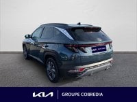 Voitures D'occasion À Yffiniac | Hyundai Tucson 1.6 Crdi 136Ch Hybrid 48V Creative Dct7