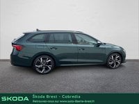 Voitures D'occasion À Brest | Škoda Octavia Combi 2.0 Tdi Scr 150Ch Sportline Dsg7