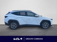 Voitures D'occasion À Yffiniac | Hyundai Tucson 1.6 Crdi 136Ch Hybrid 48V Creative Dct7