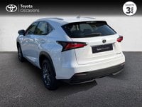Voitures D'occasion À Vannes | Lexus Nx 300H 2Wd Pack Business