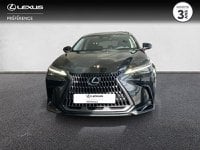 Voitures D'occasion À Lanester | Lexus Nx 350H 200Ch Executive 4Wd My26