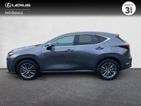 Voitures D'occasion À Lanester | Lexus Nx 450H+ Luxe Pack Design 4Wd My24