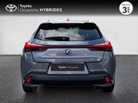 Voitures D'occasion À Plérin | Lexus Ux 250H 4Wd Luxe My19